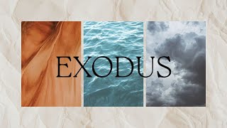 Exodus | Dehydrated