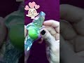 Minibella Candy Surprise… An Apple Inside?! 🍎🍬😲 #funny #candyopening #asmr #satisfying #shorts