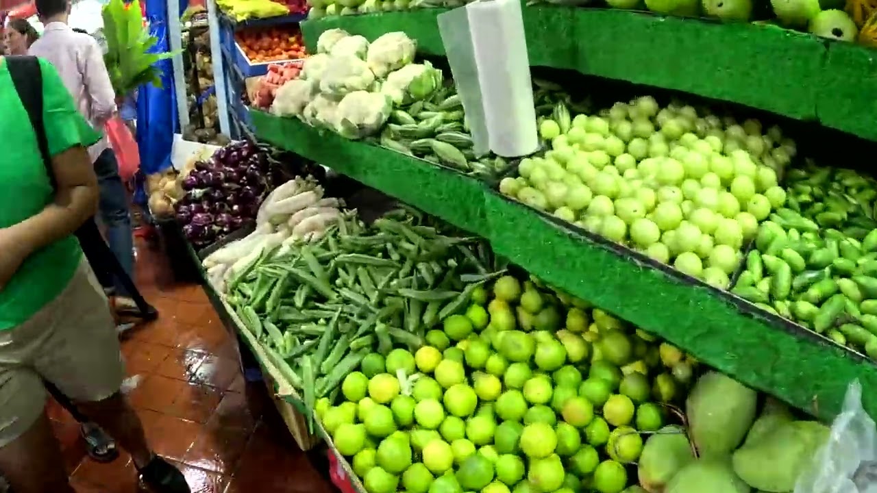 Singapore Pongal Celebration சிங்கப்பூரில் பொங்கல் கொண்டாட்டம்