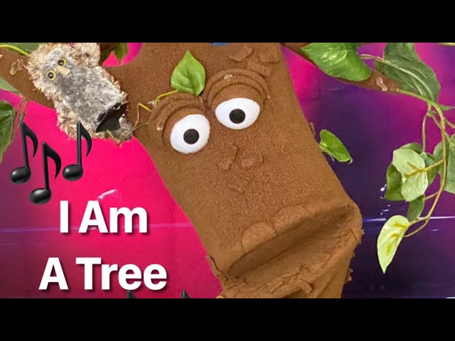 Puppet Show - I Am A Tree - YouTube