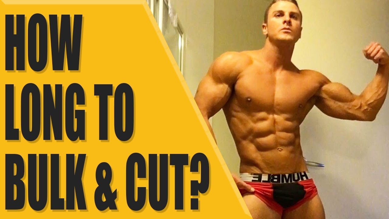 How long to Bulk and Cut for? YouTube