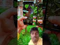 kaun sa phone ka camera achcha hai