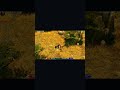 Titan Quest. Test on GTX 1080 Laptop | Alienware 17 R4. Кентавр #gtx1080 #titanquest #alienware