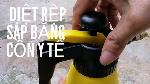 Diệt trừ rệp sáp nhanh chóng từ cồn y tế - linh ste Vlogs