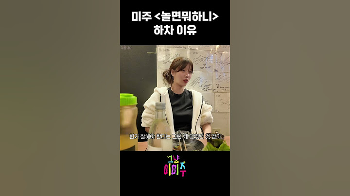 미주 [놀면뭐하니] 하차 이유