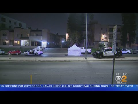 Woman Hit, Killed By Car In Van Nuys