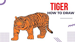 How to Draw a Tiger Step by Step | Learn to Draw screenshot 3