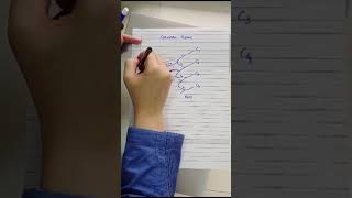 Anatomy of Cervical Plexus