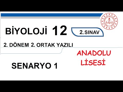 Biyoloji 12. Sınıf 2. Dönem 2. Yazılı MEB Senaryo 1 Soruları (açık uçlu / klasik) Anadolu Lisesi