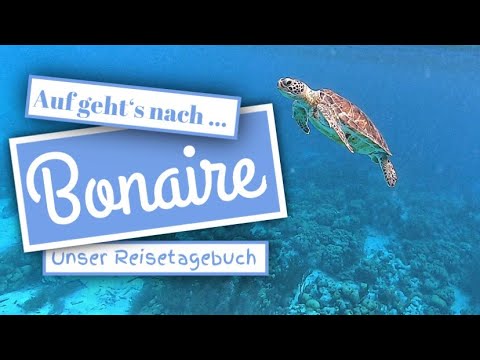 Video: Wurde Bonaire von einem Hurrikan heimgesucht?