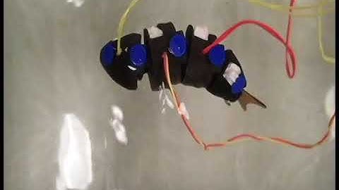 Biomimetic Miniature Robofish (MORA) May 2018