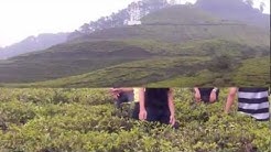 (MEMORY CIANJUR) DIAMOND BAND cipt.RJ/DIAMOND - Durasi: 3:49. (MEMORY CIANJUR) DIAMOND BAND cipt.RJ/DIAMOND - Durasi: 3:49.