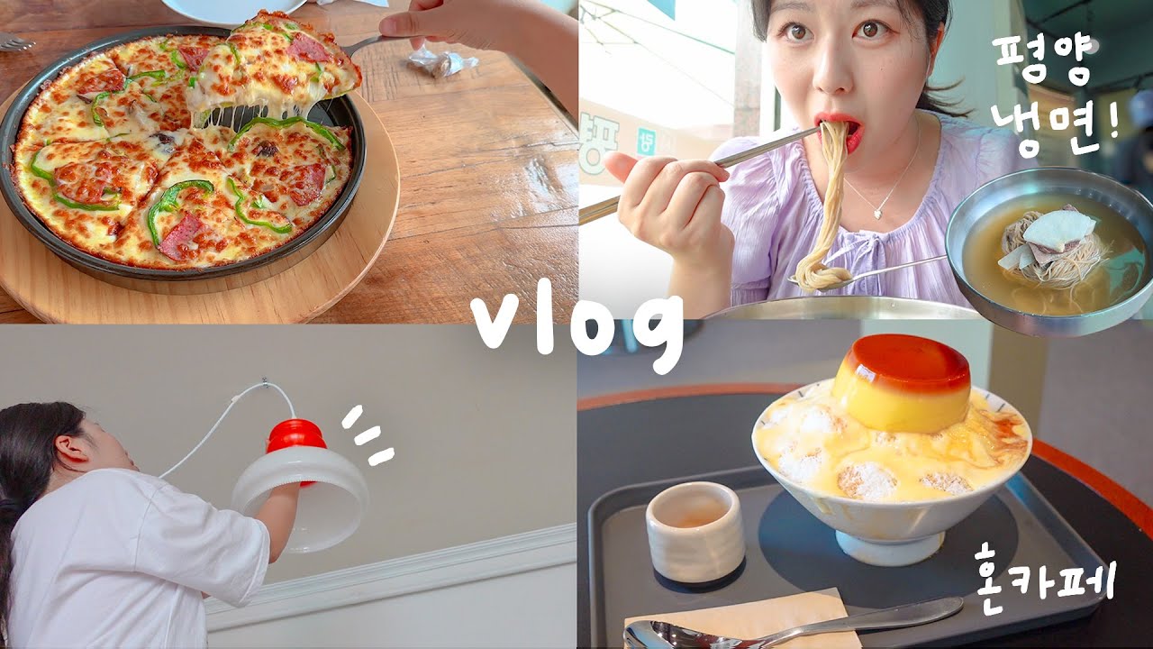 집나간 식욕이 돌아왔다..❤️‍🔥 자취일상 vlog , 생애 첫 평양냉면, 푸딩빙수, 스시롤맛집, 혼카페, 빈티지 조명 달기, 초보운전 서울가기 ㄷㄷ