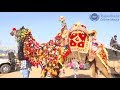 आप ने राजस्थानी ऊंट की ऐसी सजावट कभी नहीं देखी होगी | New Rajasthani Camel Dance Video