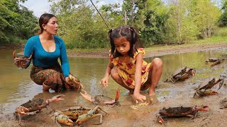 Pick many crab by muddy in flood forest- Crab stir fry with egg for dinner so delicious