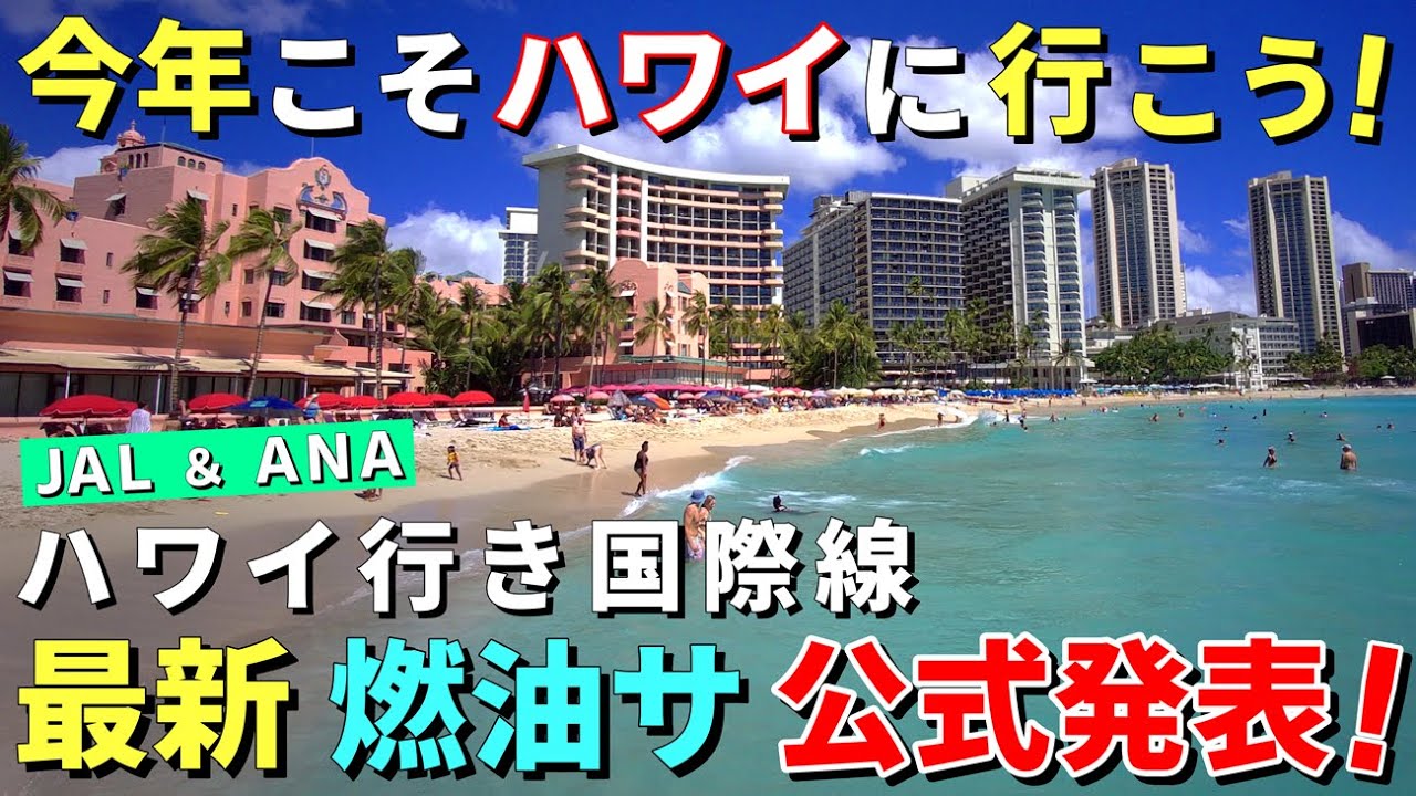 安くなります!円安なので大歓迎!座席数も大幅増でハワイ旅行が身近になってきました【ハワイ最新情報】【ハワイの今】【ハワイ旅行2024】【HAWAII】
