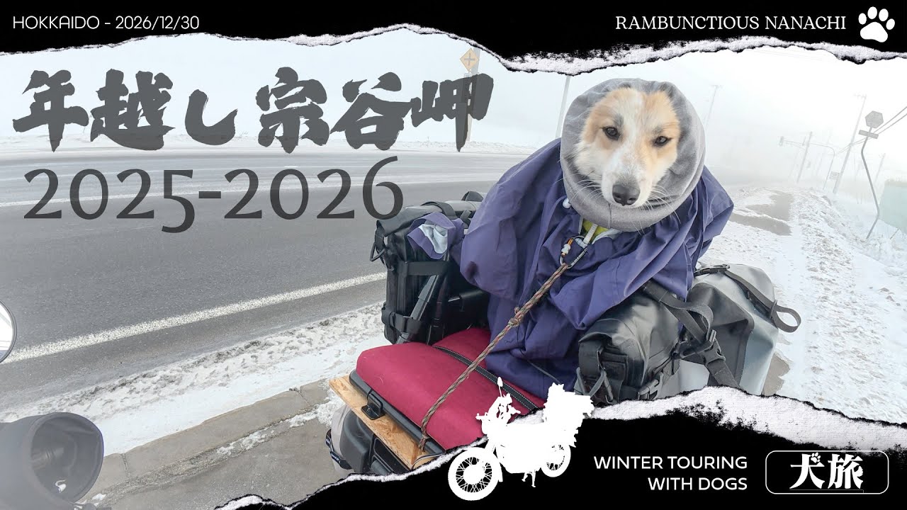 New Year's Eve at Cape Soya with a Hunter Cub and a Dog! 2025-2026