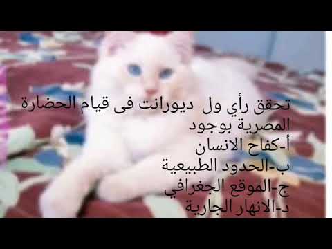 تسالي العصاري ٣ مسابقة شهريه وجوائز حقيقية