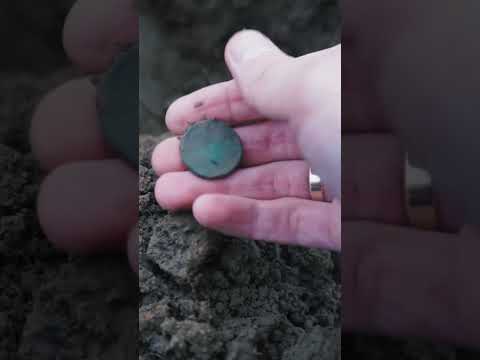 Видео: Обожаю такие сигналы! Коп монет с помощью металлоискателя.