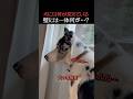 犬には見えている