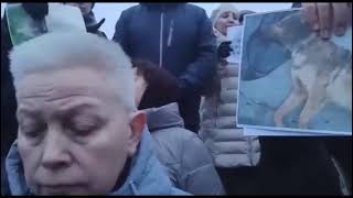 🆘 Живодеры Убивают ЖИВОТНЫХ в Городе Астрахани Массово,обращение к президенту Страны жителей города🚨