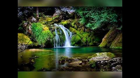 سوره المائده