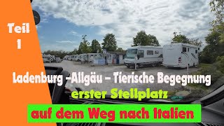 Vlog1  Anreise nach Italien, Stellplatz in Ladenburg und eine Tierische Begegnung im Allgäu