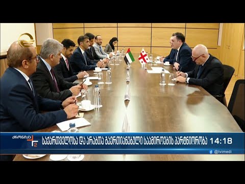 საქართველოსა და არაბთა გაერთიანებული საამიროების პარტნიორობა