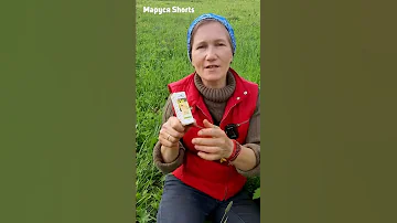 ОТ КОМАРОВ ОТ МОШЕК ОТ КЛЕЩЕЙ