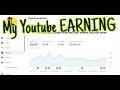 My youtube earning as a small creator