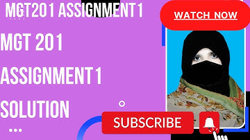 MGT201 Assignment1 Solution