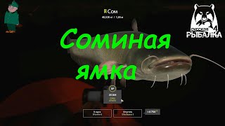 Русская рыбалка 4. Сомы на джиг на Ахтубе.