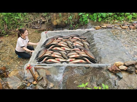 Ana used bamboo and white net to create a very unique fish trap. And caught a lot of fish.
