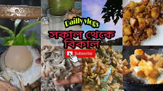 Bengali vlog(পাংগাস মাছের রেসিপি।কাচকি মাছের চরচরি।দেশি মাছ।(সকাল থেকে বিকাল)Irin sultana ripa