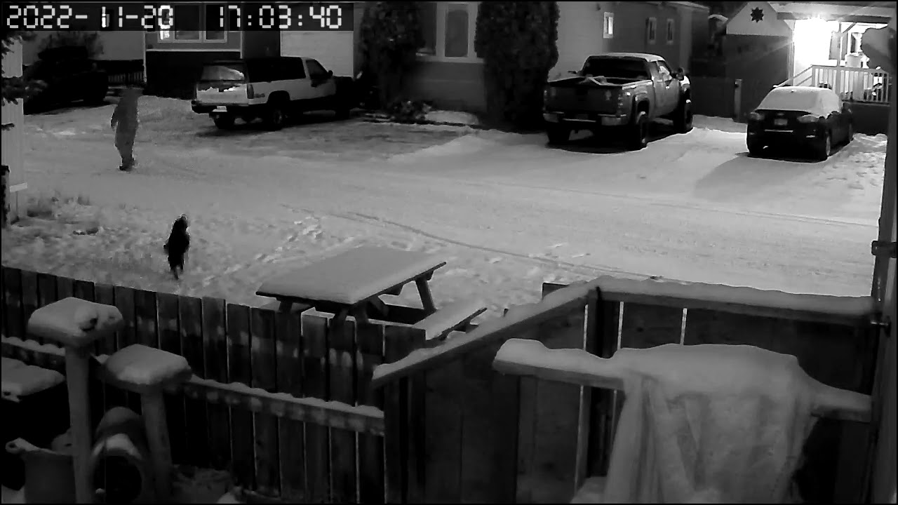 still scoping the place out