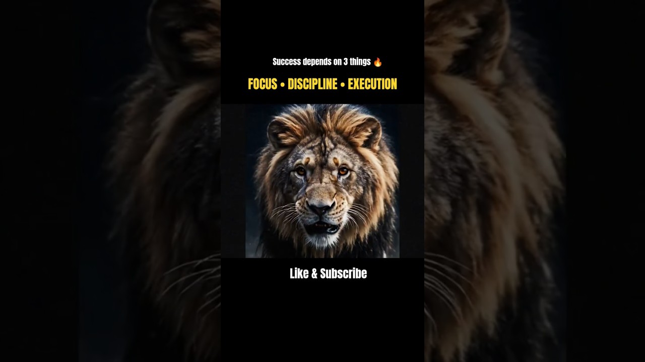 Success Depends on 3 Things 🔥 Focus Discipline Execution 