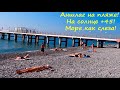 ЛАЗАРЕВСКОЕ 2020🌴Аншлаг на пляже! На солнце +45! Вода как слеза, а собаки кайфуют в "Прибое"!