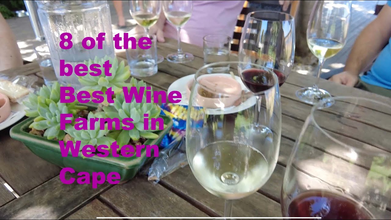 Best Wine Farms In The Western Cape South Africa Going Places With Best Wine Farms In The Western Cape South Africa Going Places With