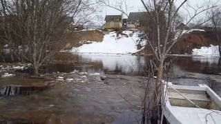 Какой уровень воды в зверинке