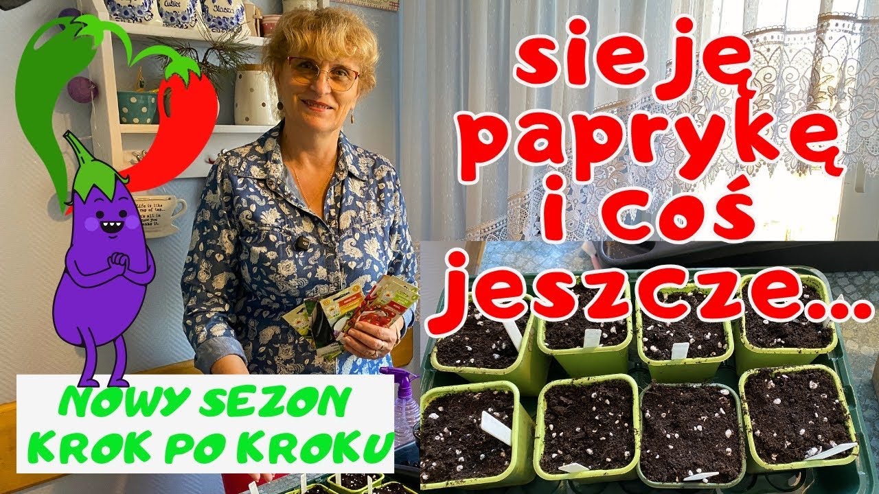 Jak wysiać warzywa ciepłolubne 🌶️🍆