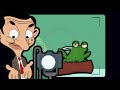 Wildlife photographer bean  mr bean animated season 1  funny clips  mr bean world