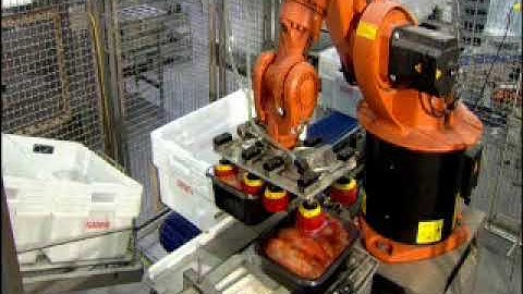 Packing and Palletizing Robot
