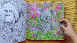 Completed pages for August 2023 #finishedpages #coloringbook #completedpages