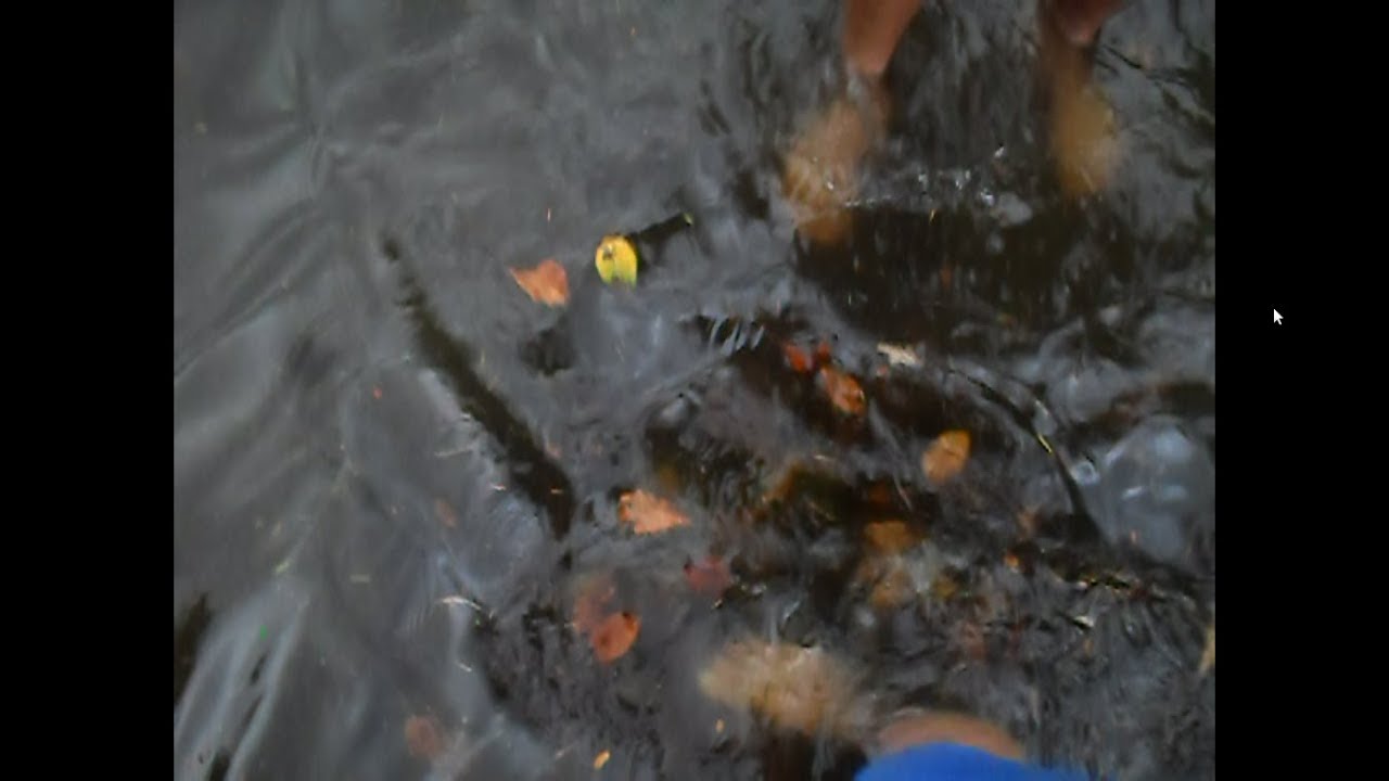 Draining most of the parking lot lake, 08/21/2017