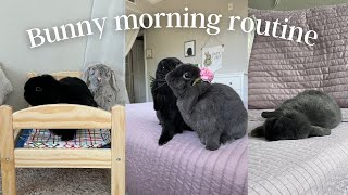 BUNNNY MORNING ROUTINE 2023 🐰 by Dumbo and Bear 3,506 views 10 months ago 3 minutes, 38 seconds