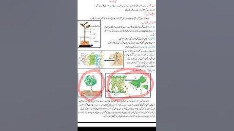 Bridge course/10th Urdu medium/science second/activity 4