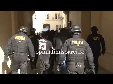 Operatiune antidrog la Timisoara, 6 tineri retinuti