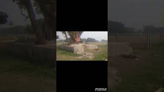 #minivlog e7udh gfib dfdhsui sgyxf 6d8y8se hcigs dit5 ydige6cyd8 rfydfj Good #strangephenomena