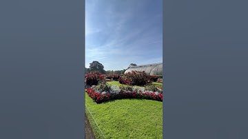 Autumn at Kew Gardens #kewgardens