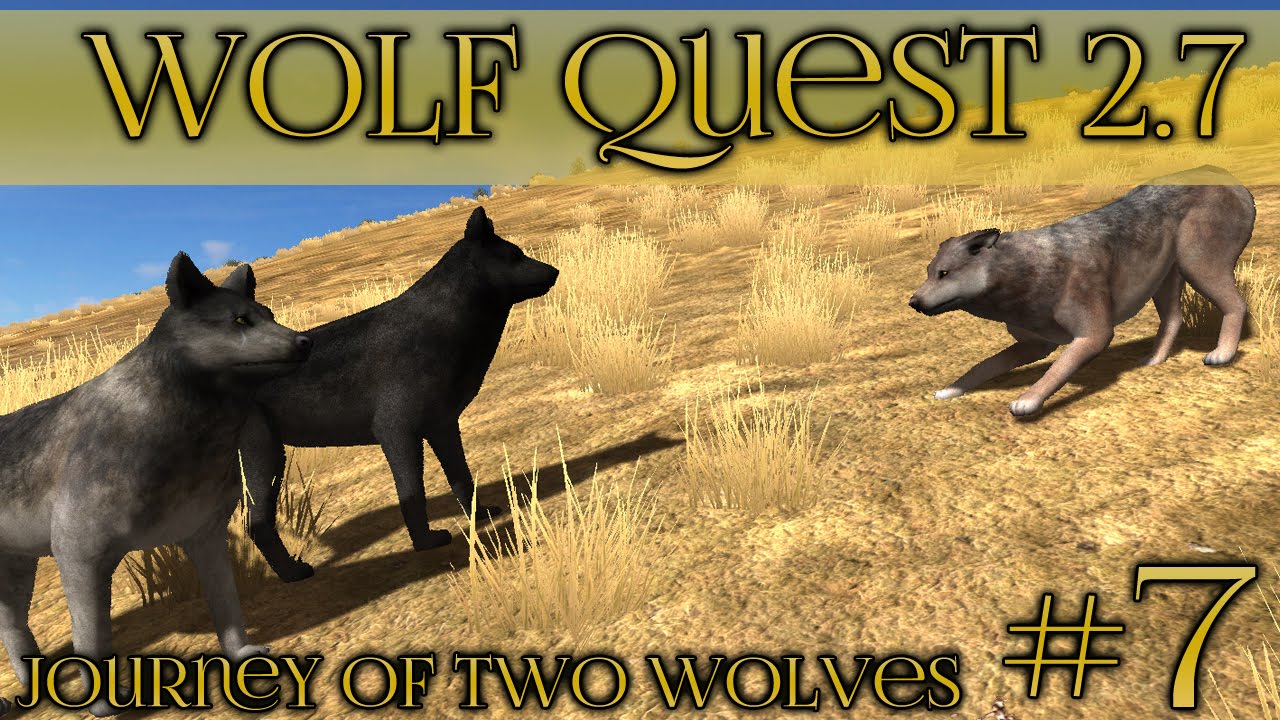 Dominance Among The Wolf Packs Wolf Quest 2 7 Brothers Journey Dominance Among The Wolf Packs Wolf Quest 2 7 Brothers Journey